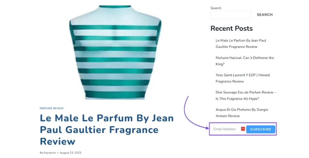 how forms look from website